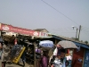 dsc00242.jpg