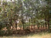 p1010026.jpg