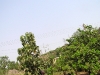 p1010027.jpg