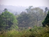 p1010028.jpg