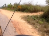 p1010034.jpg