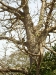 dsc00463.jpg