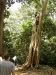 dsc00473.jpg