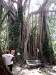dsc00475.jpg