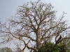 p1010021.jpg