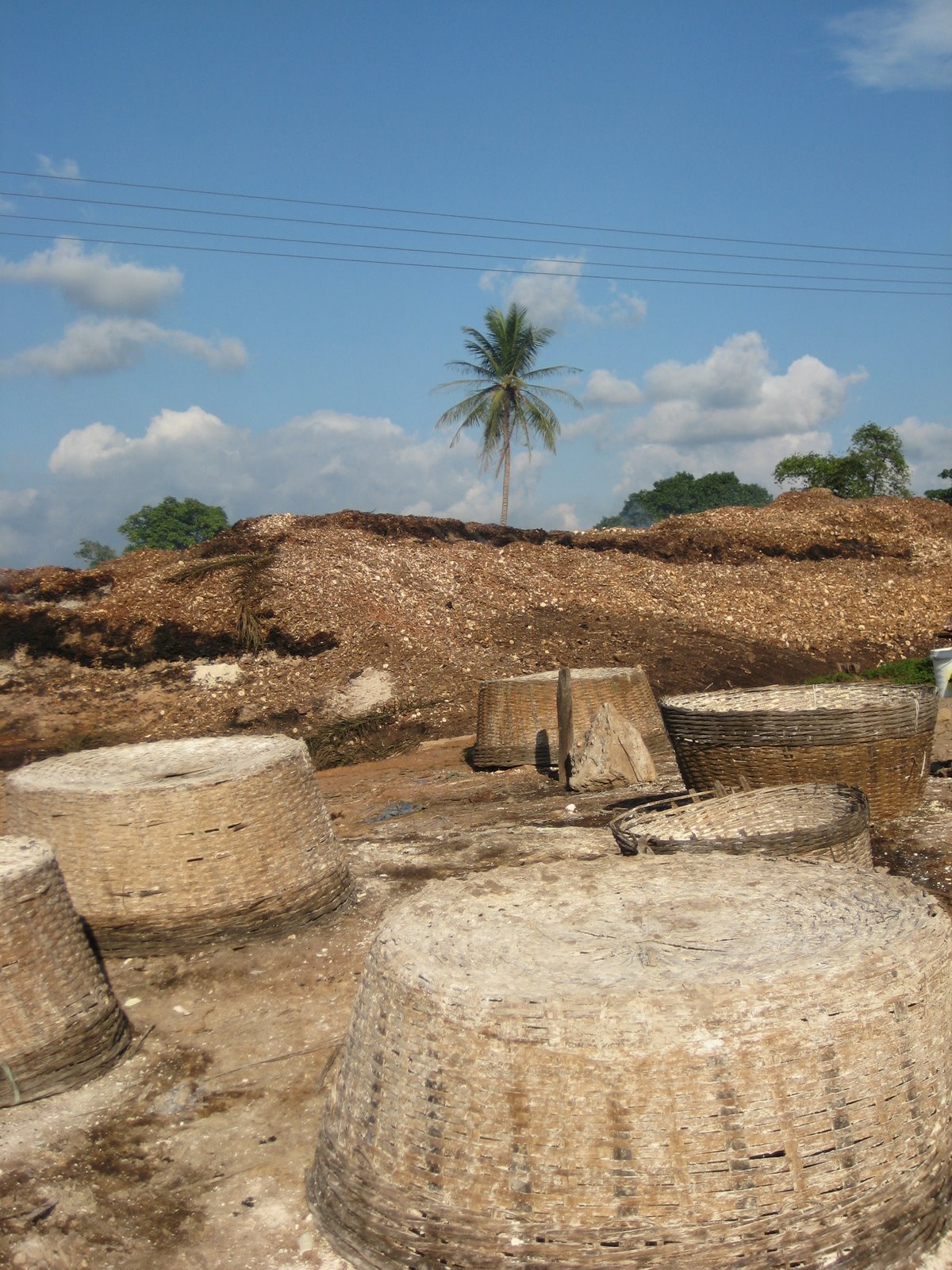 Cassava Factory - Waste Pile